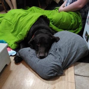 Meet your Posher, Timothy